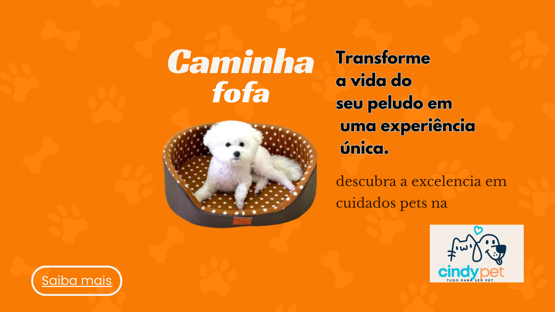 caminha amigo